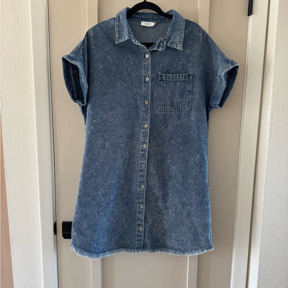 Blue Ivy denium dress